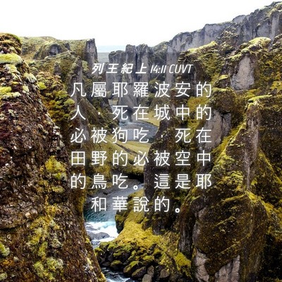 Picture 04 - 列 王 紀 上 14:11 CUVT - 凡 屬 耶 羅 波 安 的 人 ， 死 在 城 - Bible Verse Picture