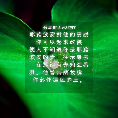 Picture 04 - 列 王 紀 上 14:2 CUVT - 耶 羅 波 安 對 他 的 妻 說 ： 你 可 - Bible Verse Picture