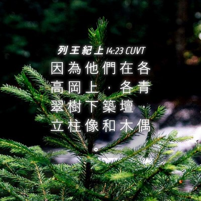 Picture 04 - 列 王 紀 上 14:23 CUVT - 因 為 他 們 在 各 高 岡 上 ， 各 青 - Bible Verse Picture