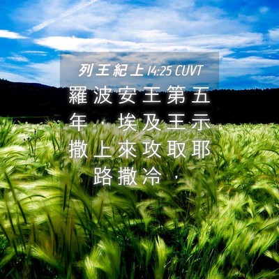 Picture 04 - 列 王 紀 上 14:25 CUVT - 羅 波 安 王 第 五 年 ， 埃 及 王 示 - Bible Verse Picture