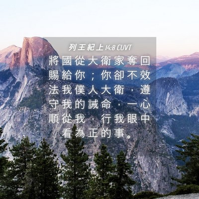 Picture 04 - 列 王 紀 上 14:8 CUVT - 將 國 從 大 衛 家 奪 回 賜 給 你 ； - Bible Verse Picture