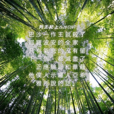 Picture 04 - 列 王 紀 上 15:29 CUVT - 巴 沙 一 作 王 就 殺 了 耶 羅 波 安 - Bible Verse Picture