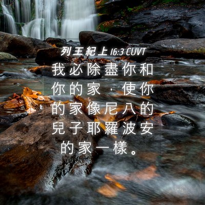 Picture 04 - 列 王 紀 上 16:3 CUVT - 我 必 除 盡 你 和 你 的 家 ， 使 你 - Bible Verse Picture