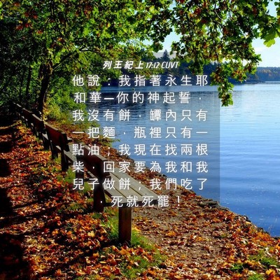 Picture 04 - 列 王 紀 上 17:12 CUVT - 他 說 ： 我 指 著 永 生 耶 和 華 ─ - Bible Verse Picture