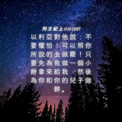Picture 04 - 列 王 紀 上 17:13 CUVT - 以 利 亞 對 他 說 ： 不 要 懼 怕 ！ - Bible Verse Picture