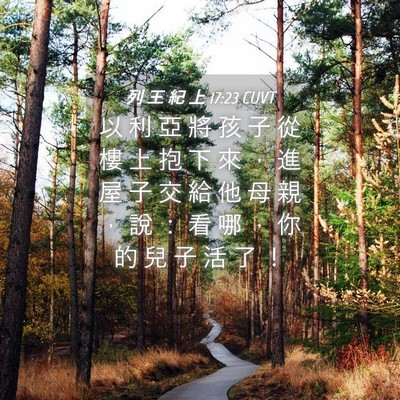 Picture 04 - 列 王 紀 上 17:23 CUVT - 以 利 亞 將 孩 子 從 樓 上 抱 下 來 - Bible Verse Picture