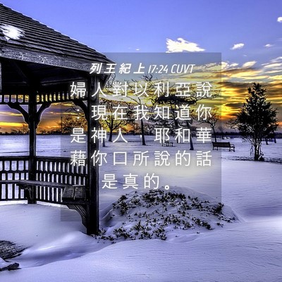 Picture 04 - 列 王 紀 上 17:24 CUVT - 婦 人 對 以 利 亞 說 ： 現 在 我 知 - Bible Verse Picture