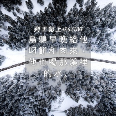 Picture 04 - 列 王 紀 上 17:6 CUVT - 烏 鴉 早 晚 給 他 叼 餅 和 肉 來 ， - Bible Verse Picture