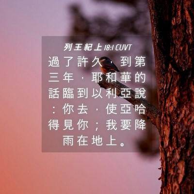 Picture 04 - 列 王 紀 上 18:1 CUVT - 過 了 許 久 ， 到 第 三 年 ， 耶 和 - Bible Verse Picture