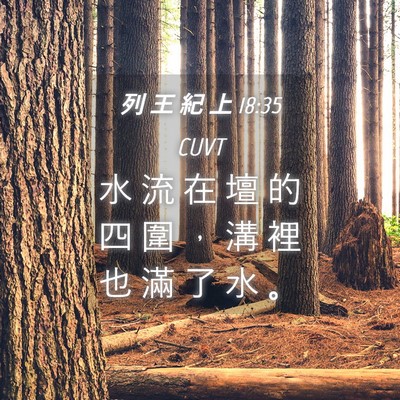 Picture 04 - 列 王 紀 上 18:35 CUVT - 水 流 在 壇 的 四 圍 ， 溝 裡 也 滿 - Bible Verse Picture