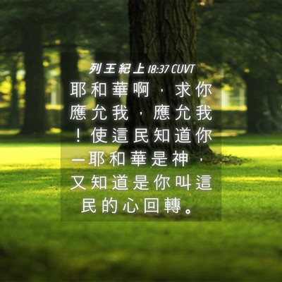 Picture 04 - 列 王 紀 上 18:37 CUVT - 耶 和 華 啊 ， 求 你 應 允 我 ， 應 - Bible Verse Picture