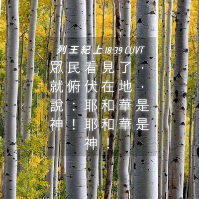 Picture 04 - 列 王 紀 上 18:39 CUVT - 眾 民 看 見 了 ， 就 俯 伏 在 地 ， - Bible Verse Picture