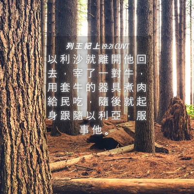 Picture 04 - 列 王 紀 上 19:21 CUVT - 以 利 沙 就 離 開 他 回 去 ， 宰 了 - Bible Verse Picture