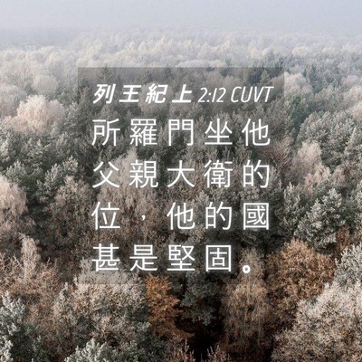 Picture 04 - 列 王 紀 上 2:12 CUVT - 所 羅 門 坐 他 父 親 大 衛 的 位 ， - Bible Verse Picture