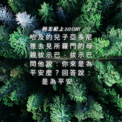 Picture 04 - 列 王 紀 上 2:13 CUVT - 哈 及 的 兒 子 亞 多 尼 雅 去 見 所 - Bible Verse Picture