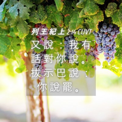 Picture 04 - 列 王 紀 上 2:14 CUVT - 又 說 ： 我 有 話 對 你 說 。 拔 示 - Bible Verse Picture