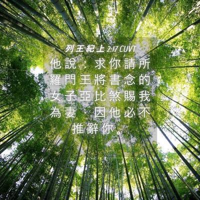 Picture 04 - 列 王 紀 上 2:17 CUVT - 他 說 ： 求 你 請 所 羅 門 王 將 書 - Bible Verse Picture