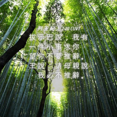 Picture 04 - 列 王 紀 上 2:20 CUVT - 拔 示 巴 說 ： 我 有 一 件 小 事 求 - Bible Verse Picture
