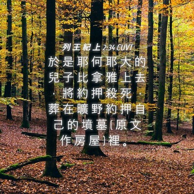 Picture 04 - 列 王 紀 上 2:34 CUVT - 於 是 耶 何 耶 大 的 兒 子 比 拿 雅 - Bible Verse Picture