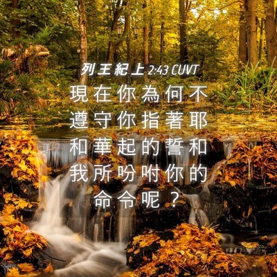 Picture 04 - 列 王 紀 上 2:43 CUVT - 現 在 你 為 何 不 遵 守 你 指 著 耶 - Bible Verse Picture
