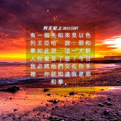 Picture 04 - 列 王 紀 上 20:13 CUVT - 有 一 個 先 知 來 見 以 色 列 王 亞 - Bible Verse Picture
