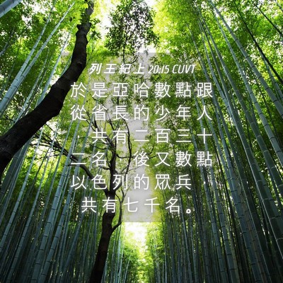Picture 04 - 列 王 紀 上 20:15 CUVT - 於 是 亞 哈 數 點 跟 從 省 長 的 少 - Bible Verse Picture