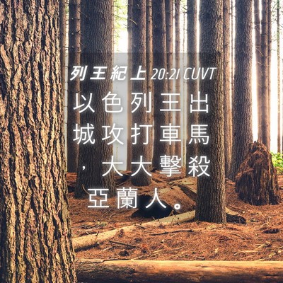 Picture 04 - 列 王 紀 上 20:21 CUVT - 以 色 列 王 出 城 攻 打 車 馬 ， 大 - Bible Verse Picture