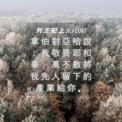 Picture 04 - 列 王 紀 上 21:3 CUVT - 拿 伯 對 亞 哈 說 ： 我 敬 畏 耶 和 - Bible Verse Picture