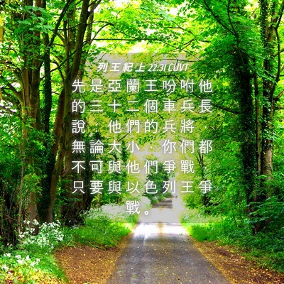 Picture 04 - 列 王 紀 上 22:31 CUVT - 先 是 亞 蘭 王 吩 咐 他 的 三 十 二 - Bible Verse Picture
