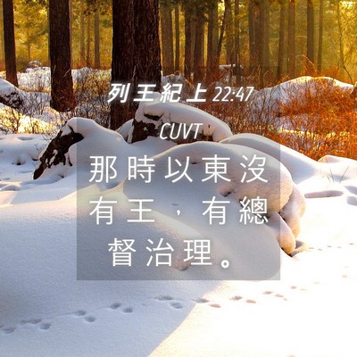 Picture 04 - 列 王 紀 上 22:47 CUVT - 那 時 以 東 沒 有 王 ， 有 總 督 治 - Bible Verse Picture