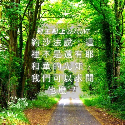 Picture 04 - 列 王 紀 上 22:7 CUVT - 約 沙 法 說 ： 這 裡 不 是 還 有 耶 - Bible Verse Picture