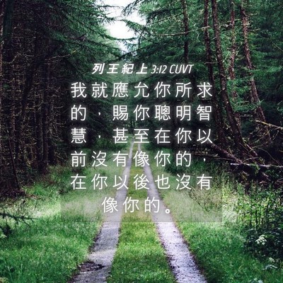 Picture 04 - 列 王 紀 上 3:12 CUVT - 我 就 應 允 你 所 求 的 ， 賜 你 聰 - Bible Verse Picture