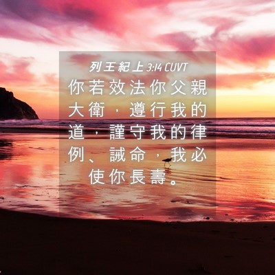 Picture 04 - 列 王 紀 上 3:14 CUVT - 你 若 效 法 你 父 親 大 衛 ， 遵 行 - Bible Verse Picture
