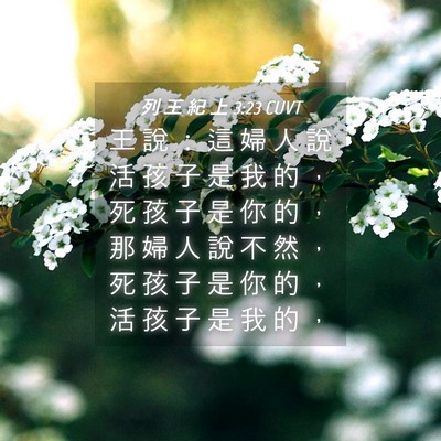 Picture 04 - 列 王 紀 上 3:23 CUVT - 王 說 ： 這 婦 人 說 活 孩 子 是 我 - Bible Verse Picture