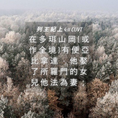 Picture 04 - 列 王 紀 上 4:11 CUVT - 在 多 珥 山 岡 ( 或 作 全 境 ) 有 便 - Bible Verse Picture