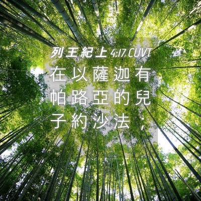 Picture 04 - 列 王 紀 上 4:17 CUVT - 在 以 薩 迦 有 帕 路 亞 的 兒 子 約 - Bible Verse Picture