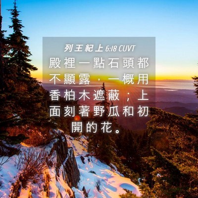 Picture 04 - 列 王 紀 上 6:18 CUVT - 殿 裡 一 點 石 頭 都 不 顯 露 ， 一 - Bible Verse Picture