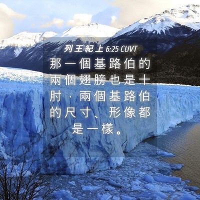 Picture 04 - 列 王 紀 上 6:25 CUVT - 那 一 個 基 路 伯 的 兩 個 翅 膀 也 - Bible Verse Picture