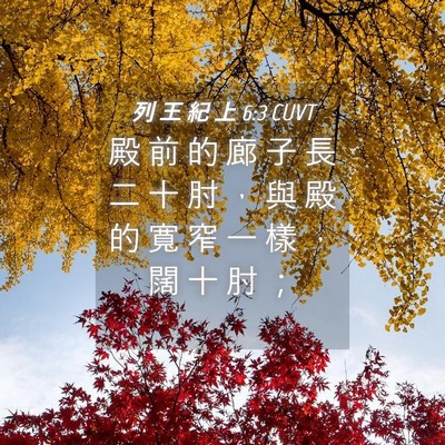 Picture 04 - 列 王 紀 上 6:3 CUVT - 殿 前 的 廊 子 長 二 十 肘 ， 與 殿 - Bible Verse Picture