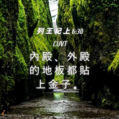 Picture 04 - 列 王 紀 上 6:30 CUVT - 內 殿 、 外 殿 的 地 板 都 貼 上 金 - Bible Verse Picture