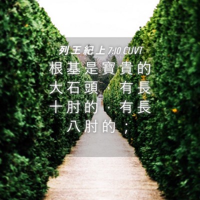 Picture 04 - 列 王 紀 上 7:10 CUVT - 根 基 是 寶 貴 的 大 石 頭 ， 有 長 - Bible Verse Picture