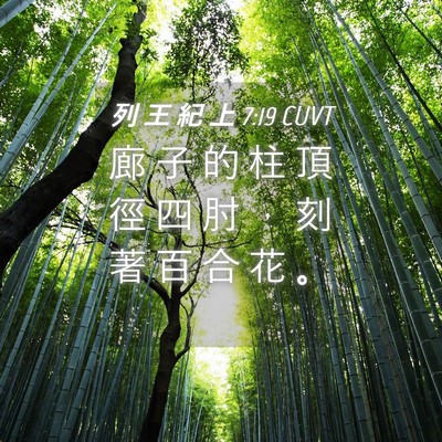 Picture 04 - 列 王 紀 上 7:19 CUVT - 廊 子 的 柱 頂 徑 四 肘 ， 刻 著 百 - Bible Verse Picture