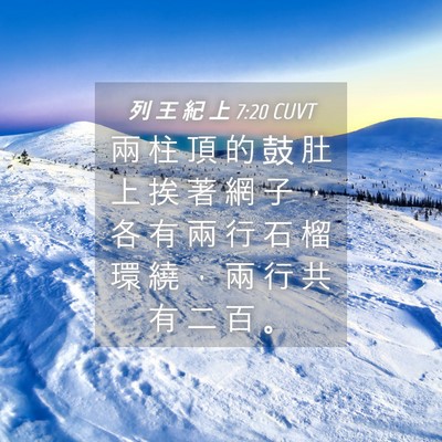 Picture 04 - 列 王 紀 上 7:20 CUVT - 兩 柱 頂 的 鼓 肚 上 挨 著 網 子 ， - Bible Verse Picture