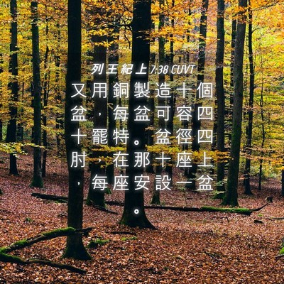 Picture 04 - 列 王 紀 上 7:38 CUVT - 又 用 銅 製 造 十 個 盆 ， 每 盆 可 - Bible Verse Picture