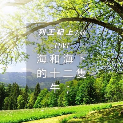 Picture 04 - 列 王 紀 上 7:44 CUVT - 海 和 海 下 的 十 二 隻 牛 - Bible Verse Picture
