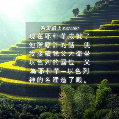 Picture 04 - 列 王 紀 上 8:20 CUVT - 現 在 耶 和 華 成 就 了 他 所 應 許 - Bible Verse Picture