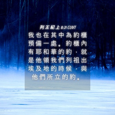Picture 04 - 列 王 紀 上 8:21 CUVT - 我 也 在 其 中 為 約 櫃 預 備 一 處 - Bible Verse Picture
