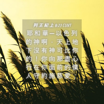 Picture 04 - 列 王 紀 上 8:23 CUVT - 耶 和 華 ─ 以 色 列 的 神 啊 ， 天 - Bible Verse Picture