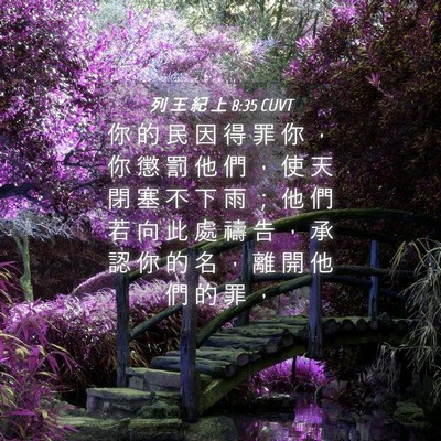 Picture 04 - 列 王 紀 上 8:35 CUVT - 你 的 民 因 得 罪 你 ， 你 懲 罰 他 - Bible Verse Picture