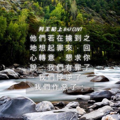 Picture 04 - 列 王 紀 上 8:47 CUVT - 他 們 若 在 擄 到 之 地 想 起 罪 來 - Bible Verse Picture